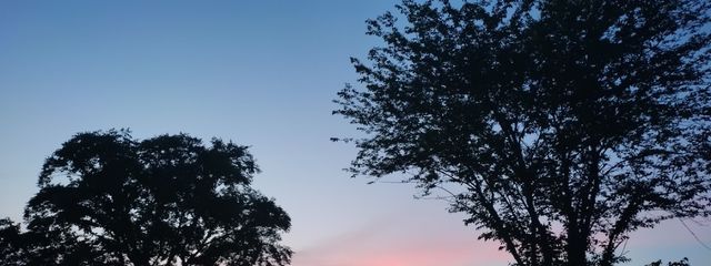 あや。❤️‍🩹さんの壁紙画像