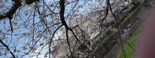 優羽 さんの壁紙画像