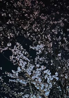 四季の双子の妹、天才役者です！