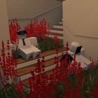 ㇰェﾝ酸【投稿頻度爆遅神】さんのアイコン画像