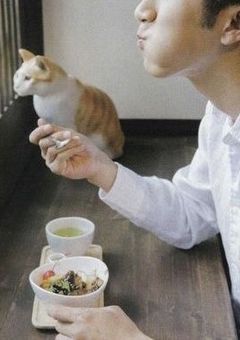 小さな子猫　、拾いました　。