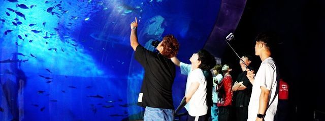 あかはね .さんの壁紙画像