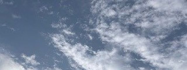 蒼さんの壁紙画像
