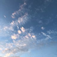 Sさんのアイコン画像