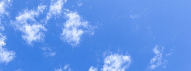 ひまわりさんの壁紙画像