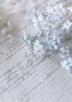 高 嶺 の 花 、 恋 愛 下 手 に つ き 。 *̩̩̥ enst