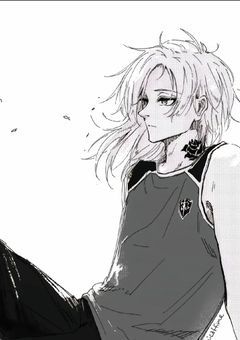 リボンと青薔薇