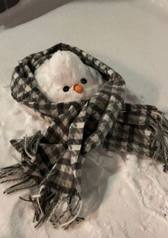 雪男達のお姫様