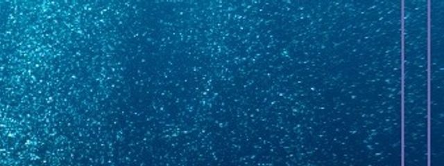 まあささんの壁紙画像