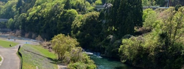 🎧ﾟ｡*ﾟ｡*凛*｡゜*🎧ﾟさんの壁紙画像