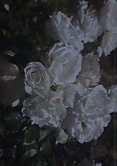 夢だと思いたかった人生