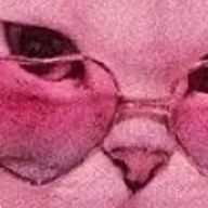 ^っ ̫ <^♡さんのアイコン画像