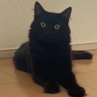 かれんさんのアイコン画像