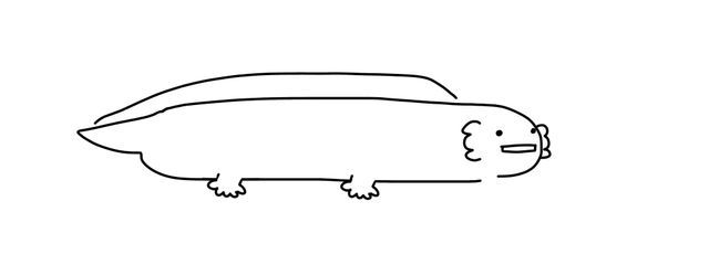 すいちゃん　（　・ω．）さんの壁紙画像