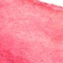 だるまいずごっど