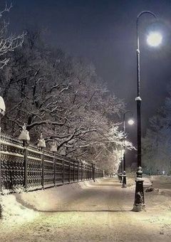 氷の柩に眠る蜜