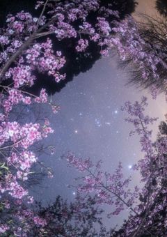 酒と金と愛に溺れて。