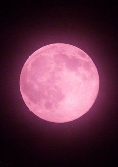 【sxxn】世界最弱のスパイ、世界最強のスパイ達のリーダーになる