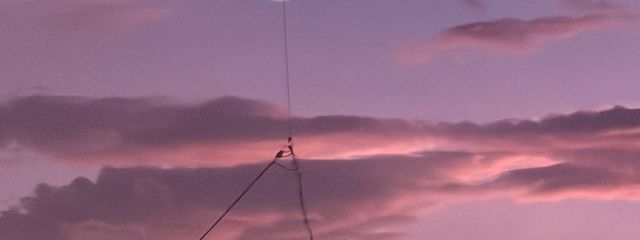      花 よ り 睡 眠 な 游 音 紫 苑 さんの壁紙画像