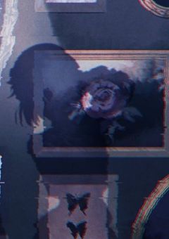 　✏︎  いずれ花と散る