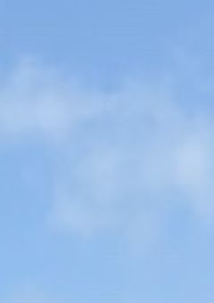 鈍感と鈍感のぶつかり合い