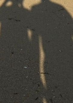 愛されすぎな怪物クン