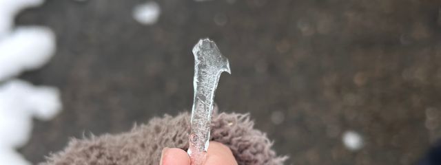 月華さんの壁紙画像