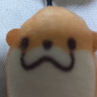 ばしコーンマヨさんのアイコン画像
