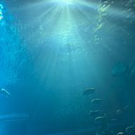 はるさんのアイコン画像