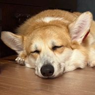 ReSTartさんのアイコン画像