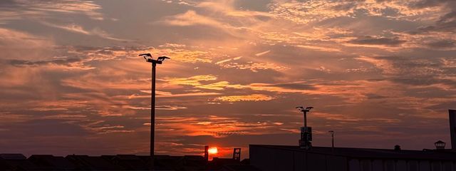 ミチュさんの壁紙画像