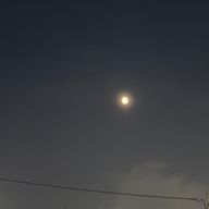 ミチュさんのアイコン画像