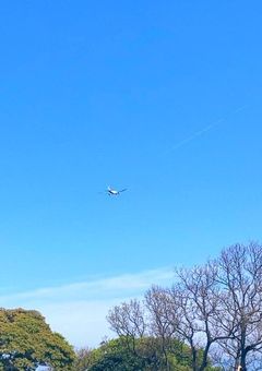 真っ昼間のロスサントスでは救助するまでもない