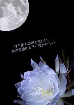 月下美人の如く美しい、あの笑顔をもう一度