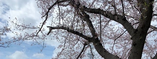 もちたろうさんの壁紙画像