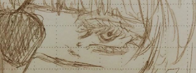 エリンギ星人さんの壁紙画像