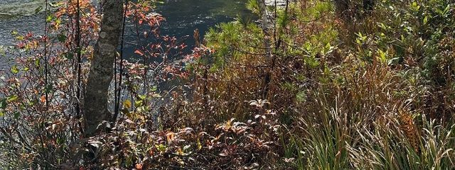 キャプテン翼最高ホロライブ最高さんの壁紙画像