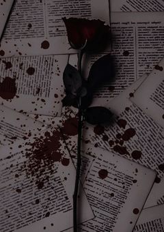 夜桜長男にはまだ同級生がいた？！