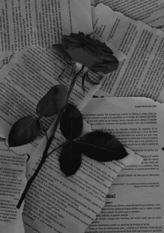 ꒷꒦愛が重い子拾ってちょ~だい?꒦꒷