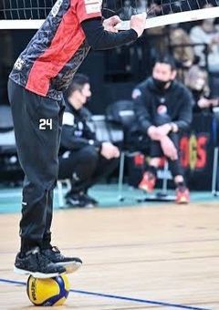 #おっきな兎 と #ちっちゃな虎