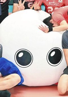 # おっちょこちょいなバボちゃん