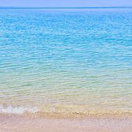 ぱせりさんのアイコン画像