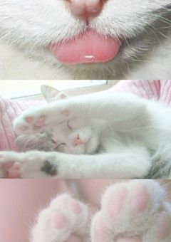 　ㅤㅤ‎ꫂ᭪݁⋆⭒˚.⋆