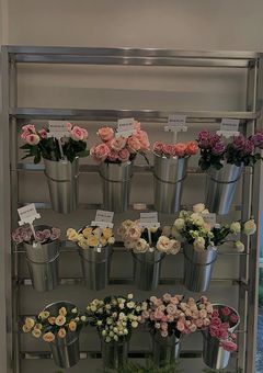 𝑨ₗₚₕₐ 𝑫ᵣᵢᵥₑ 𝑶ₙₑﾀﾝﾍﾟﾝｼｭｳ