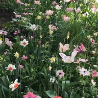 馨さんのアイコン画像