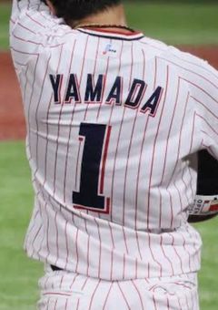 燕のNo.1溺愛中！