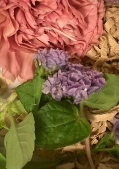 妖艶な闇に誘われ