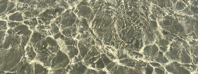 ☆阿乃留☆さんの壁紙画像