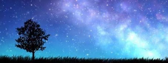 *.⋆𖤐 月姫 𖤐⋆.*フォロバ100％さんの壁紙画像