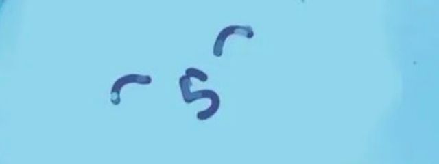 水無月さんの壁紙画像